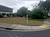 1431 Scott Street, El Cerrito