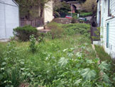 819 Loring lot
